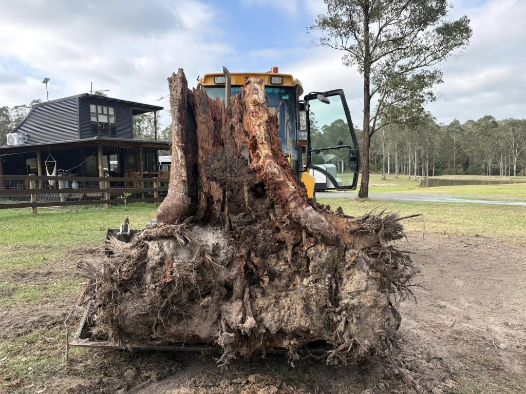 Buck In a Truck | 341 Black Camp Rd, Nooroo NSW 2415, Australia | Phone: 0422 308 907