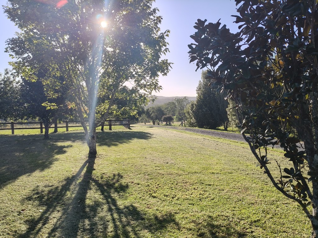 Superslash Slashing and fence line clearing | 2648 Orara Way, Kremnos NSW 2460, Australia | Phone: 0433 676 234