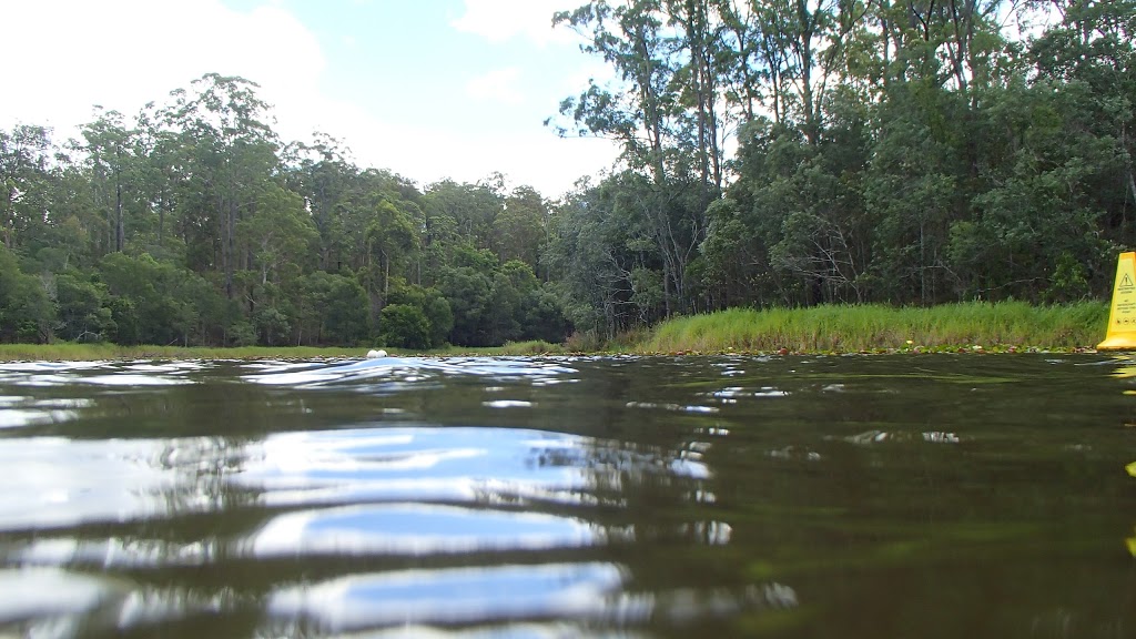 Wittonga Park (no dogs) | Hilder Rd, The Gap QLD 4061, Australia