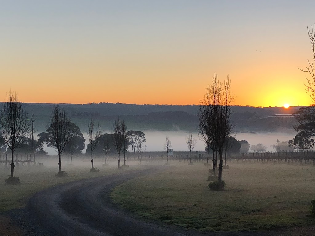 In Praise of Shadows | 4/212 Seaview Rd, McLaren Vale SA 5171, Australia | Phone: 0411 518 037