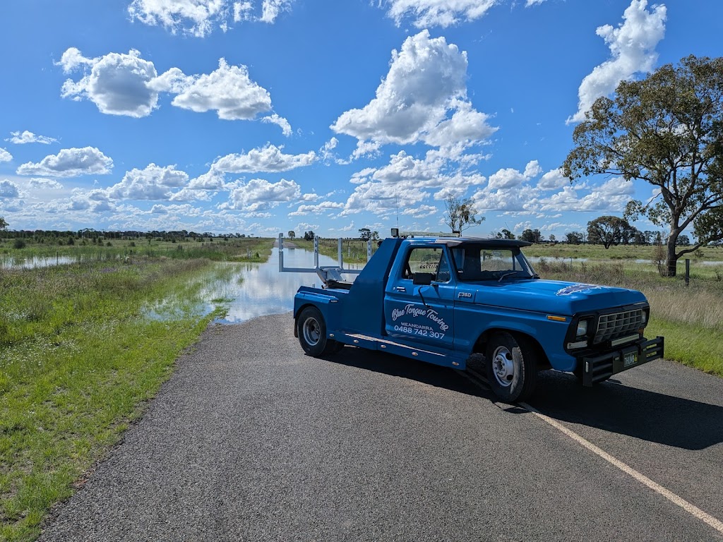 Blue Tongue Towing Western Downs | 8 George St, Meandarra QLD 4422, Australia | Phone: 0488 742 307