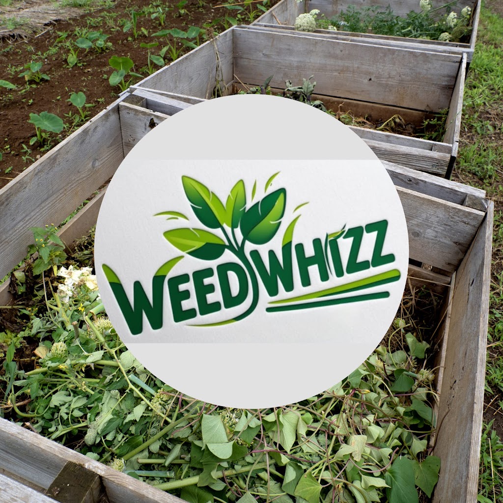 Weedwhizz | 10 Rees James Rd, Raymond Terrace NSW 2324, Australia | Phone: 0482 977 806