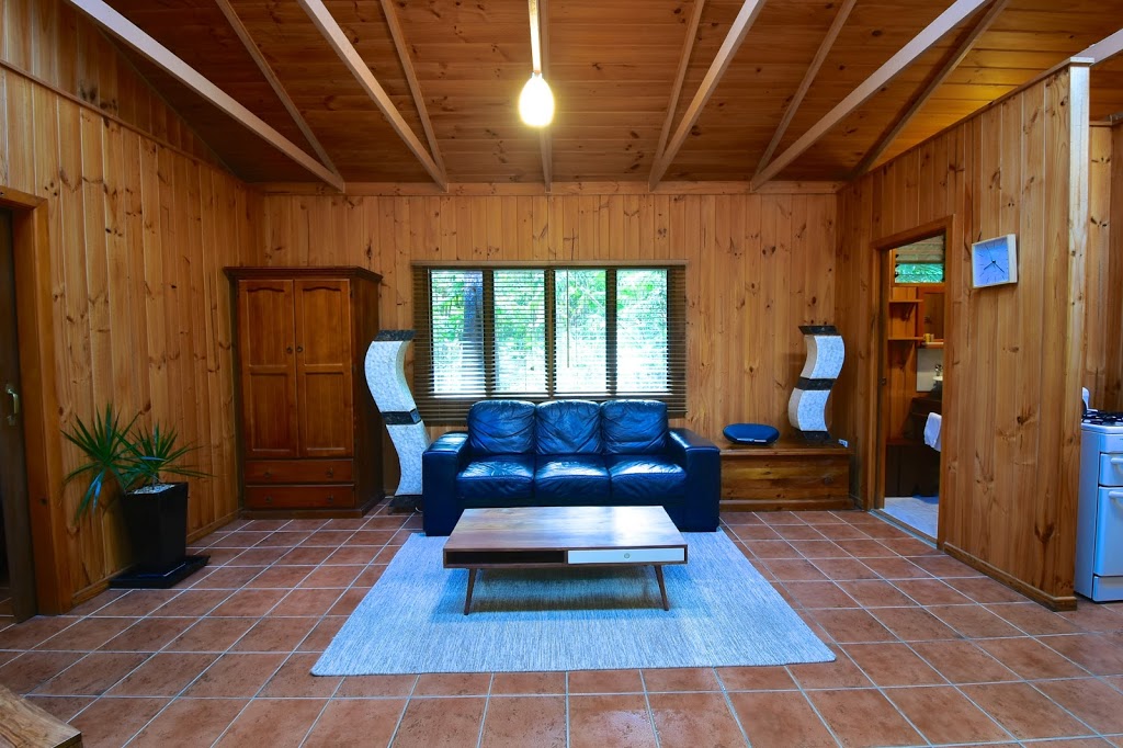 Daintree Cascades | 202 Stonewood Rd, Cape Tribulation QLD 4873, Australia | Phone: 0437 059 908