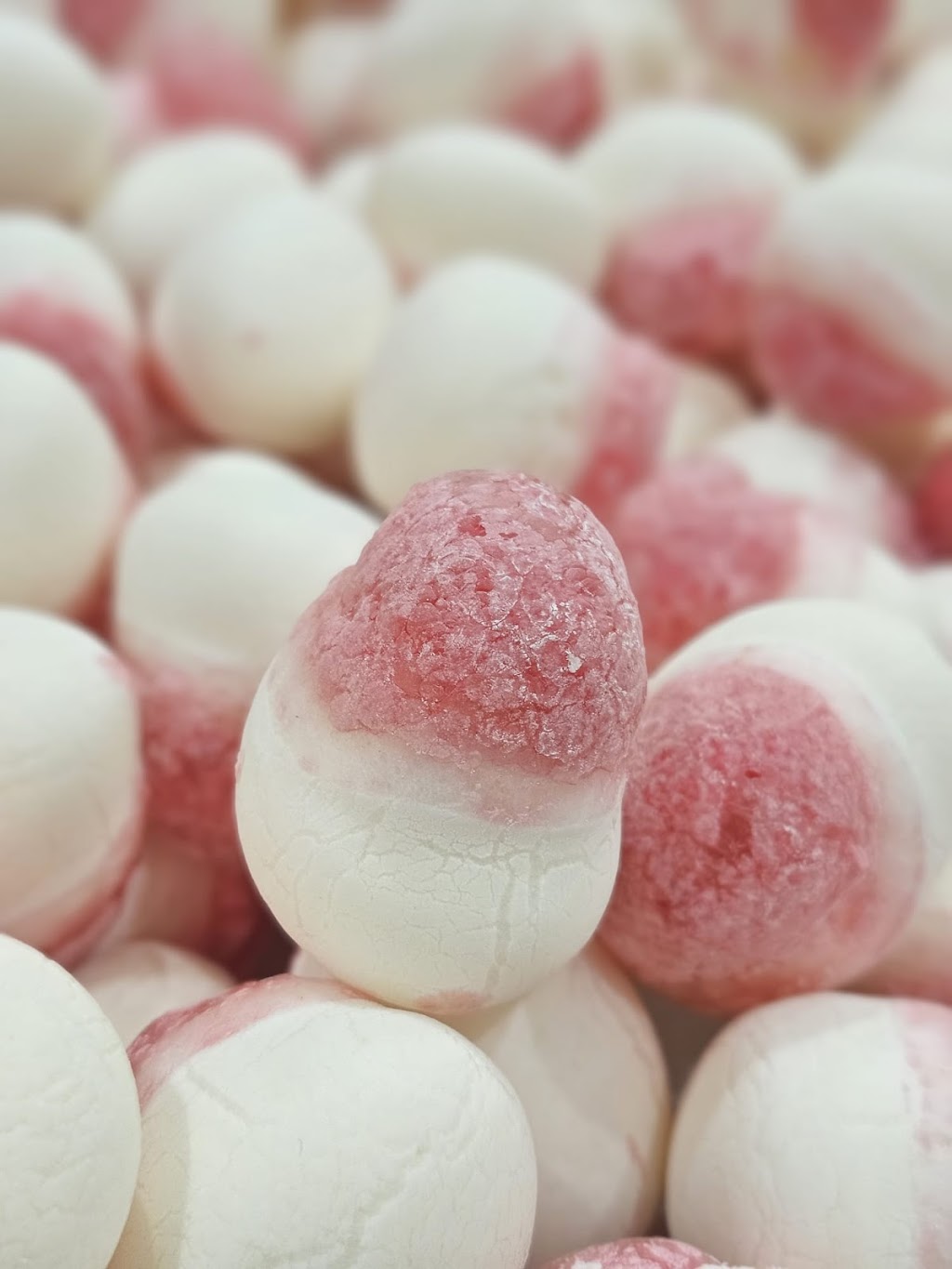 Below Zero Freeze Dried Products | 313-317 Bushman Dr, Flagstone QLD 4280, Australia | Phone: 0412 850 065