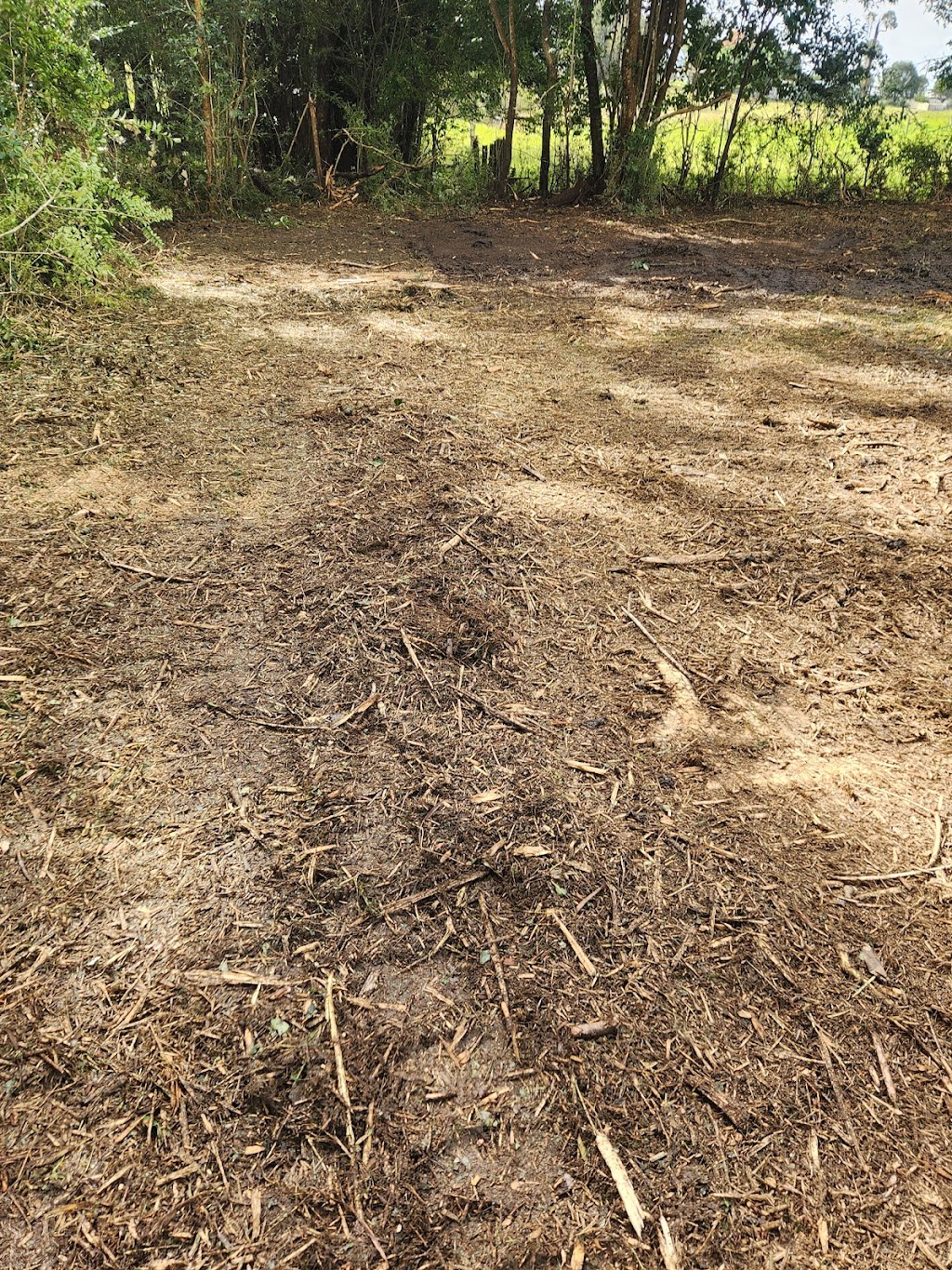 MidCoast Forestry Mulching | Old Bar Rd, Old Bar NSW 2430, Australia | Phone: 0418 164 089