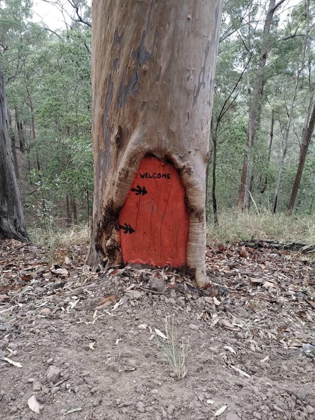 Samford Conservation Park | Ferny Hills QLD 4055, Australia | Phone: 13 74 68