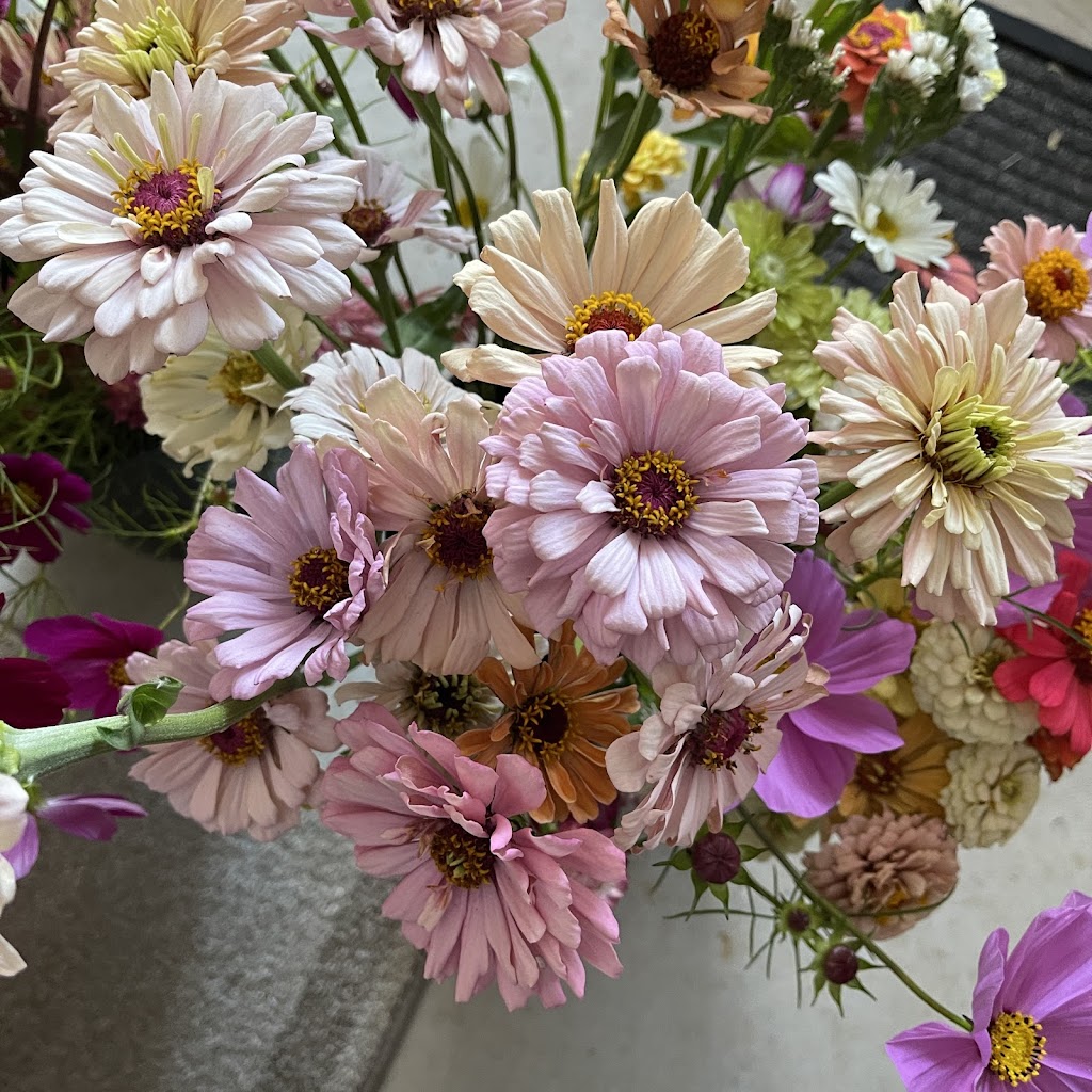 Serendipity Strawberry & Flower Farm | 1556 Princes Hwy, Bimbimbie NSW 2536, Australia | Phone: 0417 469 525