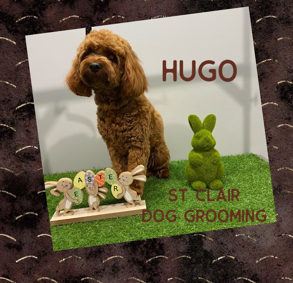 St Clair Dog Grooming |  | 8 Mezen Pl, St Clair NSW 2759, Australia | 0431343516 OR +61 431 343 516