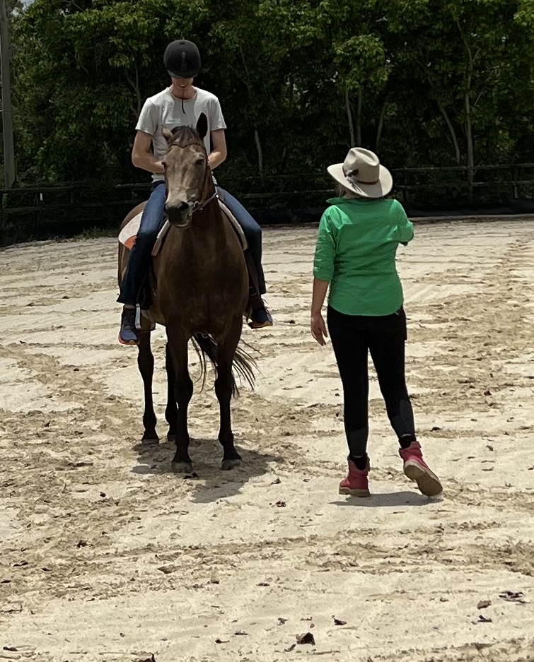 Life with Horses Limited | 45 Old Mount Samson Rd, Mount Samson QLD 4520, Australia | Phone: 0421 154 288