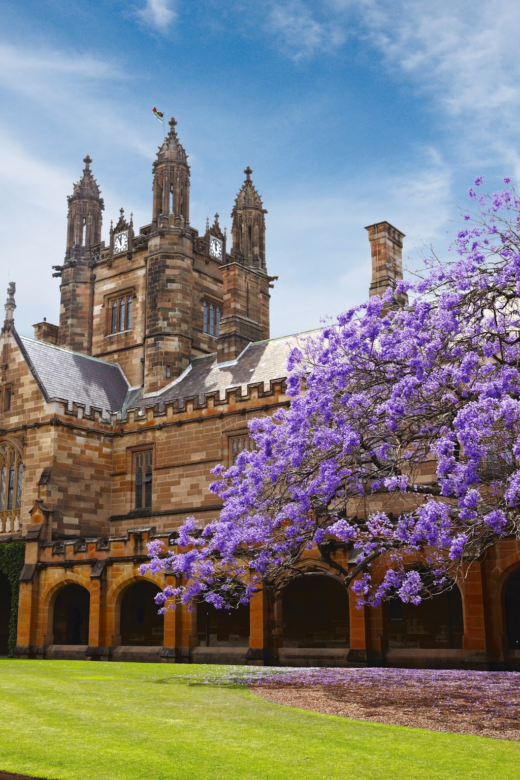 School of Languages and Cultures, University of Sydney | Room 506 University of Sydney, Brennan Maccallum Building, Camperdown NSW 2006, Australia | Phone: (02) 9351 2869