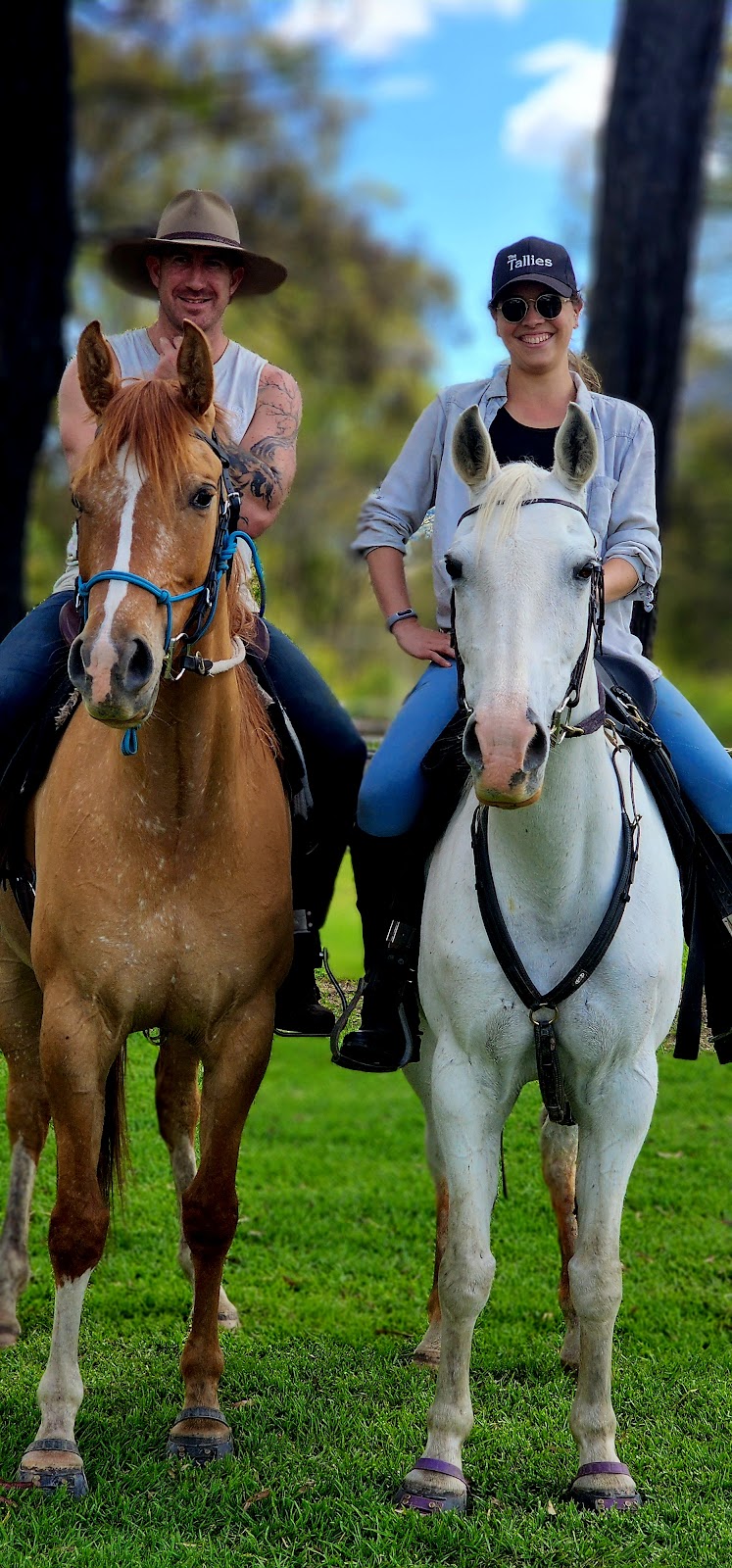 YellowScone Horse Adventures | campground | 97 Petwyn Vale Road, Wingen NSW 2337, Australia | 0417387546 OR +61 417 387 546