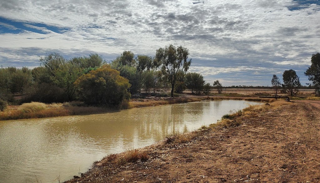 Cunnamulla Conservation Bushlands | Mitchell Hwy, Cunnamulla QLD 4490, Australia | Phone: (07) 4655 8470