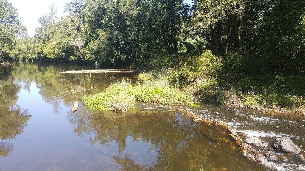Bella Creek | park | 44 Bella Creek Rd, Bella Creek QLD 4570, Australia