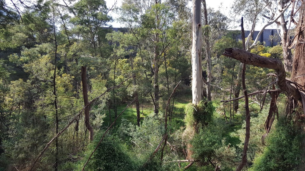 Mullum Mullum Creek Reserve | park | Eastlink Trail, Ringwood VIC 3134, Australia