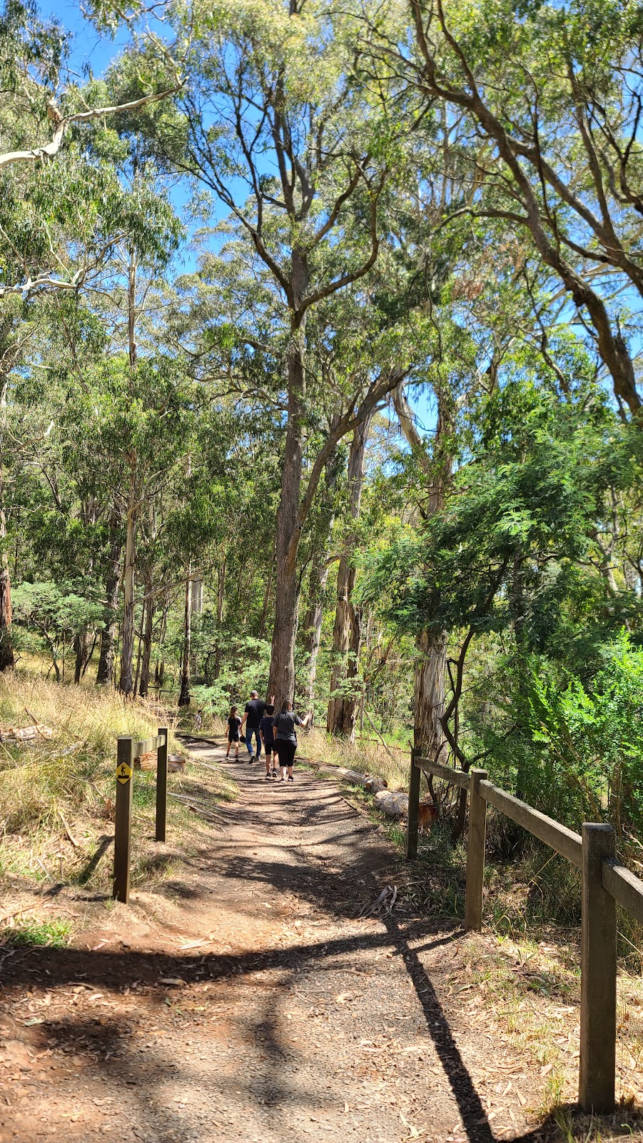 Trentham falls | Trentham Falls Rd, Trentham VIC 3458, Australia | Phone: 13 19 63