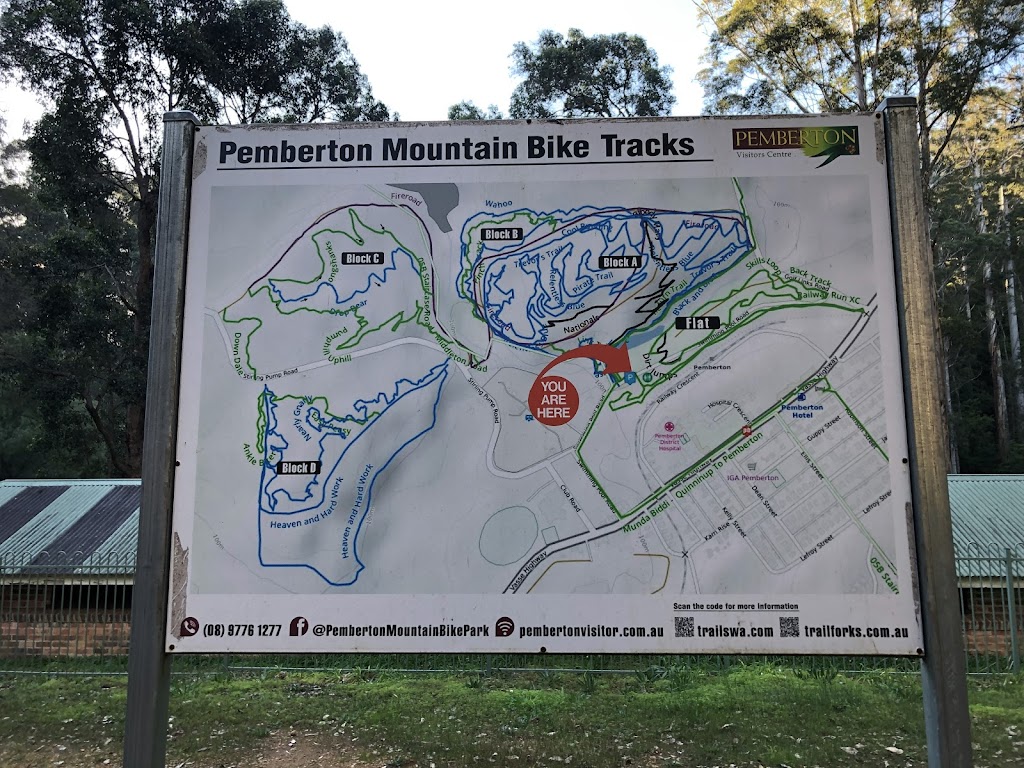 Mountain Bike Hire | tourist attraction | 60 Brockman St, Pemberton WA 6260, Australia | 0897761151 OR +61 8 9776 1151