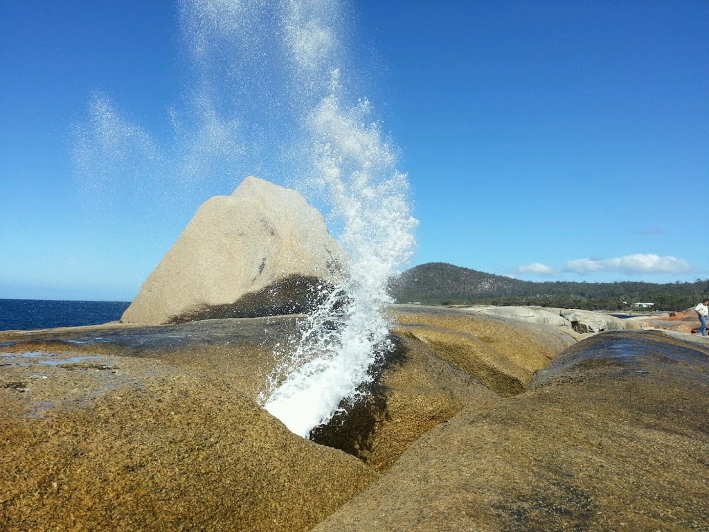 Bicheno Visitor Information Centre | 41B Foster St, Bicheno TAS 7215, Australia | Phone: (03) 6375 1500