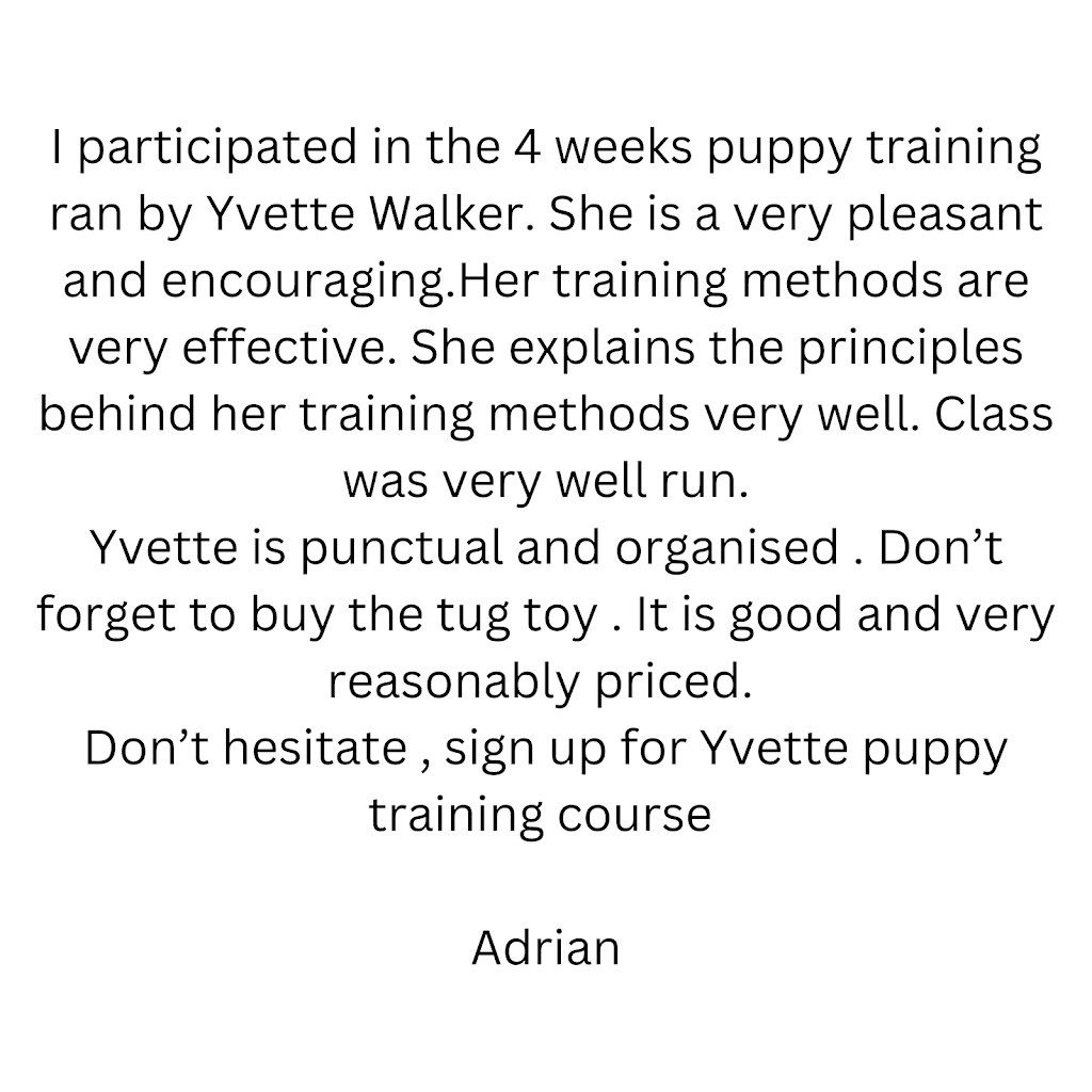 Starksridge Dog Training | 65a Epping Ave, Eastwood NSW 2122, Australia | Phone: 0412 207 234