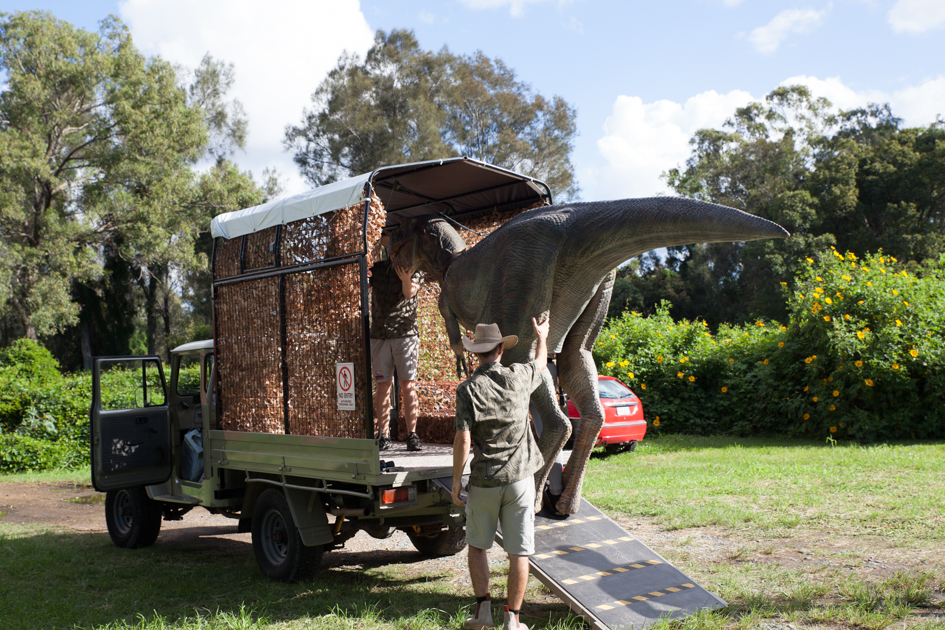 Dino Encounters | Unit 11/19 Lakeshore Ave, Buderim QLD 4556, Australia | Phone: 0452 505 081