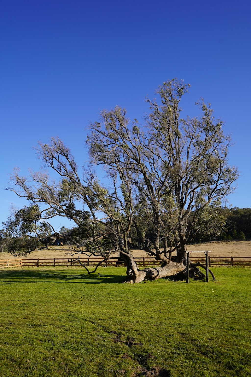 Settlers Rest Country Estate | 104 Putty Rd, Howes Valley NSW 2330, Australia | Phone: 0459 967 065