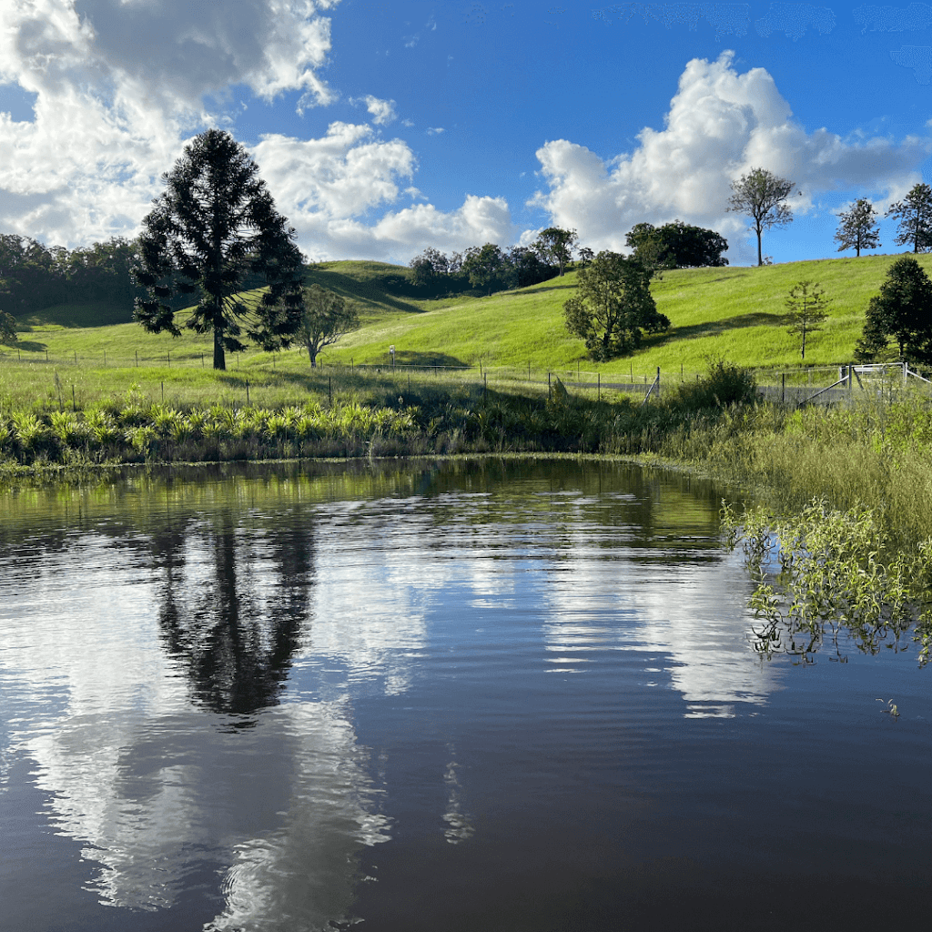 Ataraxis Farms | 825 Collins Creek Rd, Kygole NSW 2474, Australia | Phone: 0431 087 733