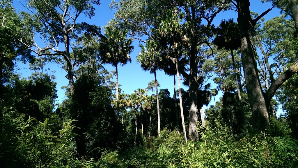 Cabbage Tree Creek Flora Reserve. | park | Cabbage Tree Creek VIC 3889, Australia | 131963 OR +61 131963