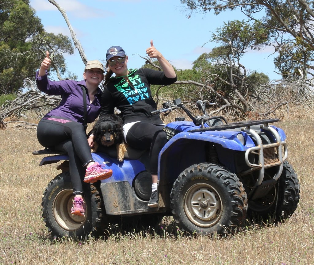 Monta Flora | 931 Salter Springs Rd, Salter Springs SA 5401, Australia | Phone: 0428 286 097