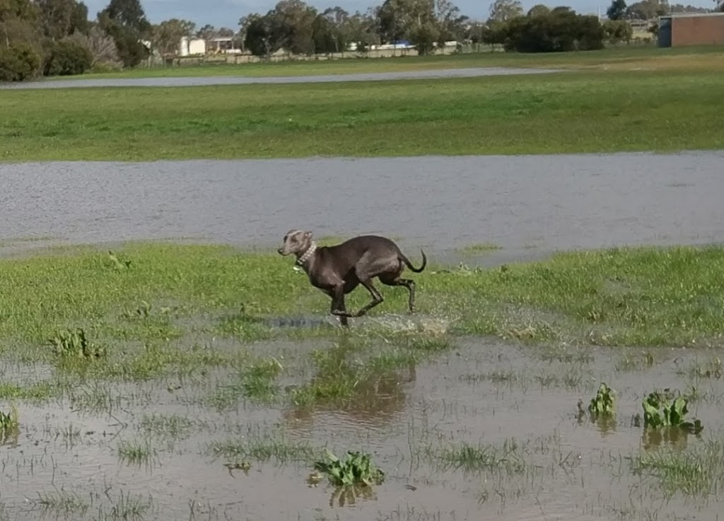 South Barwon Cricket Club | South Barwon Reserve, Barwon Heads Rd, Belmont VIC 3216, Australia | Phone: (03) 5244 1753