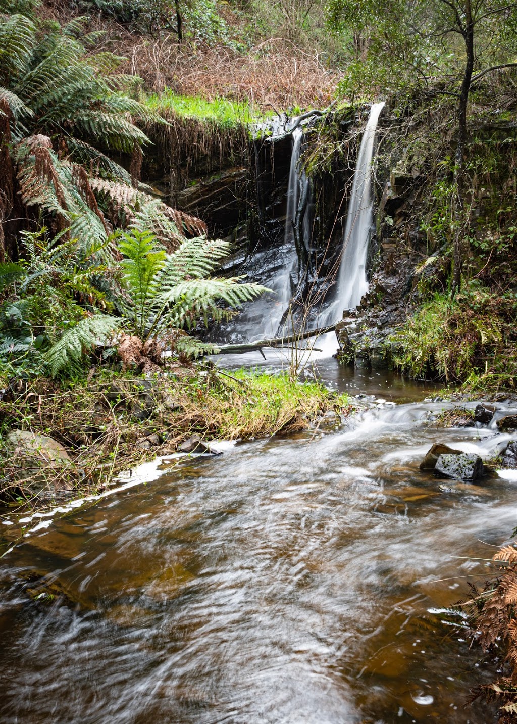 Sailors Falls Mineral Spring | Ballan-Daylesford Rd, Sailors Falls VIC 3461, Australia | Phone: (03) 8627 4700