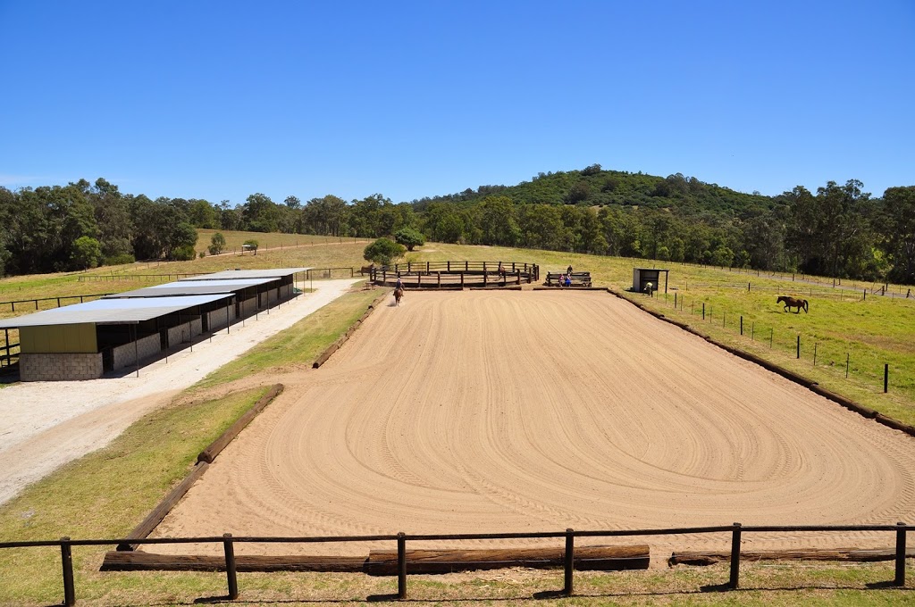 Scenic NSW Equine Centre | 205 Campbelltown Rd, Denham Court NSW 2565, Australia | Phone: (02) 9605 7410