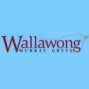 Wallawong Premium Beef | food | 8177 Kamilaroi Hwy, Curlewis NSW 2381, Australia | 0402839373 OR +61 402 839 373