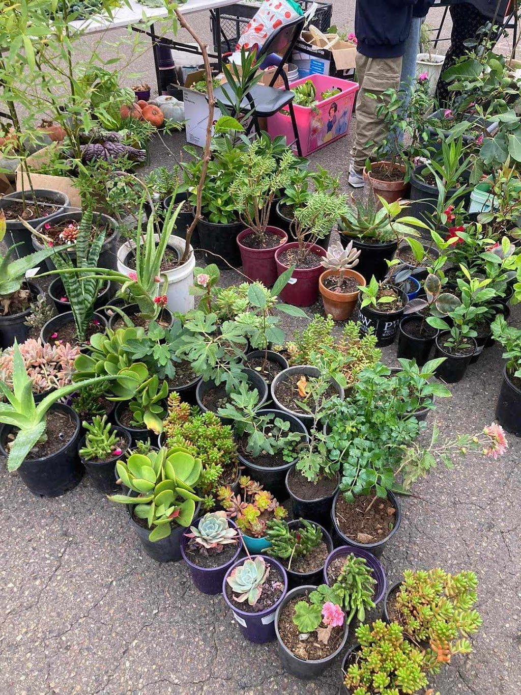 Goulburn Farmers Market | Peden Pavilion, 45 Braidwood Rd, Goulburn NSW 2580, Australia | Phone: 0450 900 276