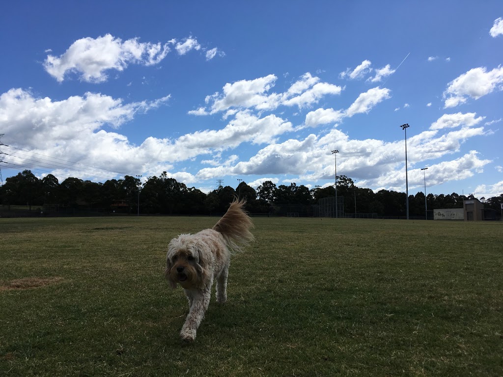 Greenway Dog Park | park | 36 Shepherds Dr, Cherrybrook NSW 2126, Australia | 0298476666 OR +61 2 9847 6666