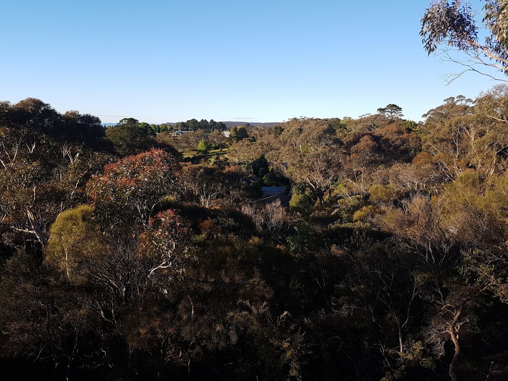 Treetop Retreat | 76 Stuarts Rd, Katoomba NSW 2780, Australia