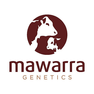 Mawarra Genetics | food | 103 Kellys Rd, Longford VIC 3851, Australia | 0408018315 OR +61 408 018 315
