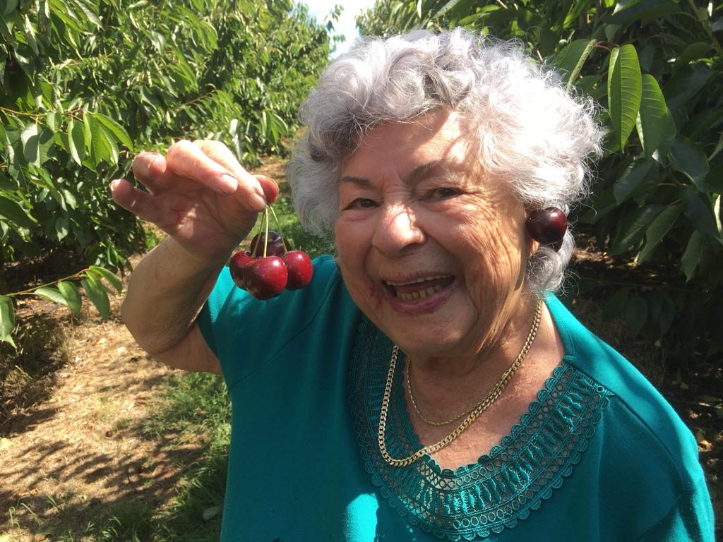 Mount Pleasant Cherries | 98 Mount Pleasant Ln, Canobolas NSW 2800, Australia | Phone: 0487 212 333