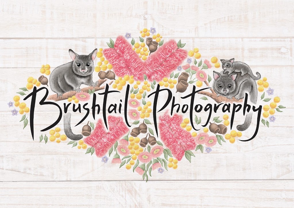 Brushtail Photography | 32-34 Old Bathurst Rd, Woodford NSW 2778, Australia | Phone: 0432 166 766