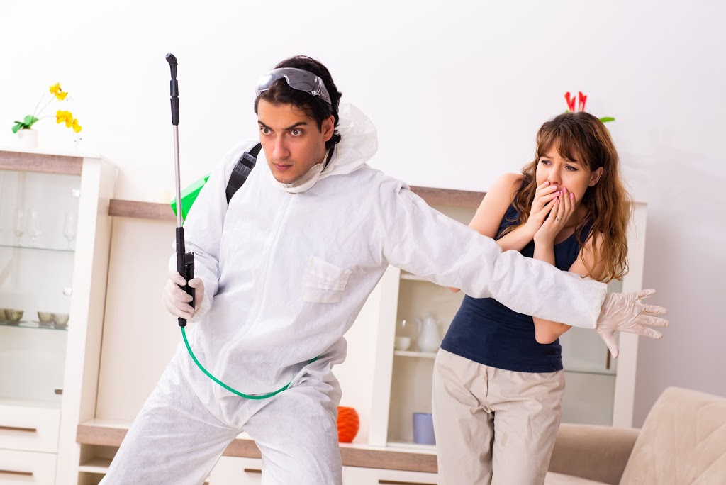 ✅ Pest Control Musk Vale?Pestbug Control Doctor?-Termite, Ant, Cockroach, Rodent Removal Treatment | 2567 Ballan-Daylesford Rd, Musk Vale VIC 3461, Australia | Phone: (03) 9034 8425