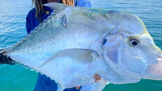 Great Barrier Reef Fishing and Island Tours | 3 Commercial drive, Cardwell QLD 4849, Australia | Phone: 0414 869 918