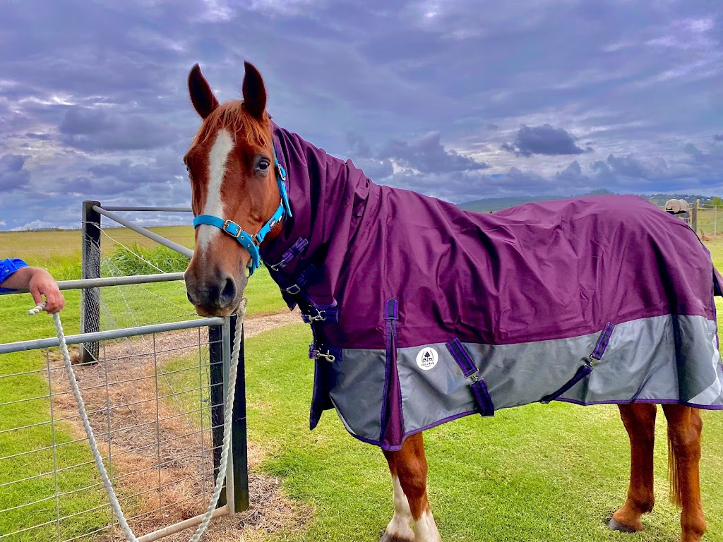 Oatis and Honey - Horse Rugs | 523 Toowoomba Karara Rd, Wyreema QLD 4352, Australia | Phone: 0416 012 208