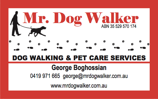Mr Dog Walker | 94 Hoddle Ave, Campbelltown NSW 2560, Australia | Phone: 0419 971 665