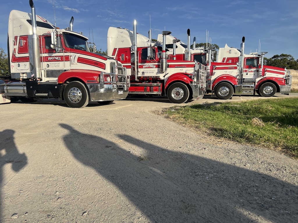 Paynes Livestock Transport | 50 Hall Rd, Pakenham South VIC 3810, Australia | Phone: 0408 344 194