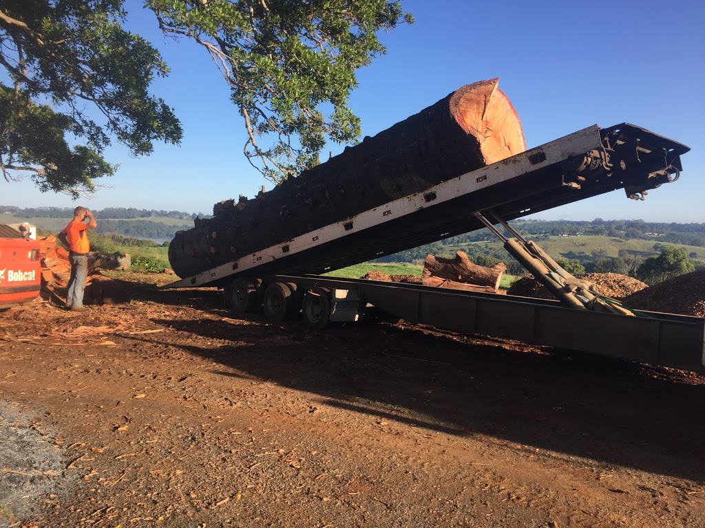 Greens Tree Lopping |  | 53 Laws La, Rous Mill NSW 2477, Australia | 0427271049 OR +61 427 271 049