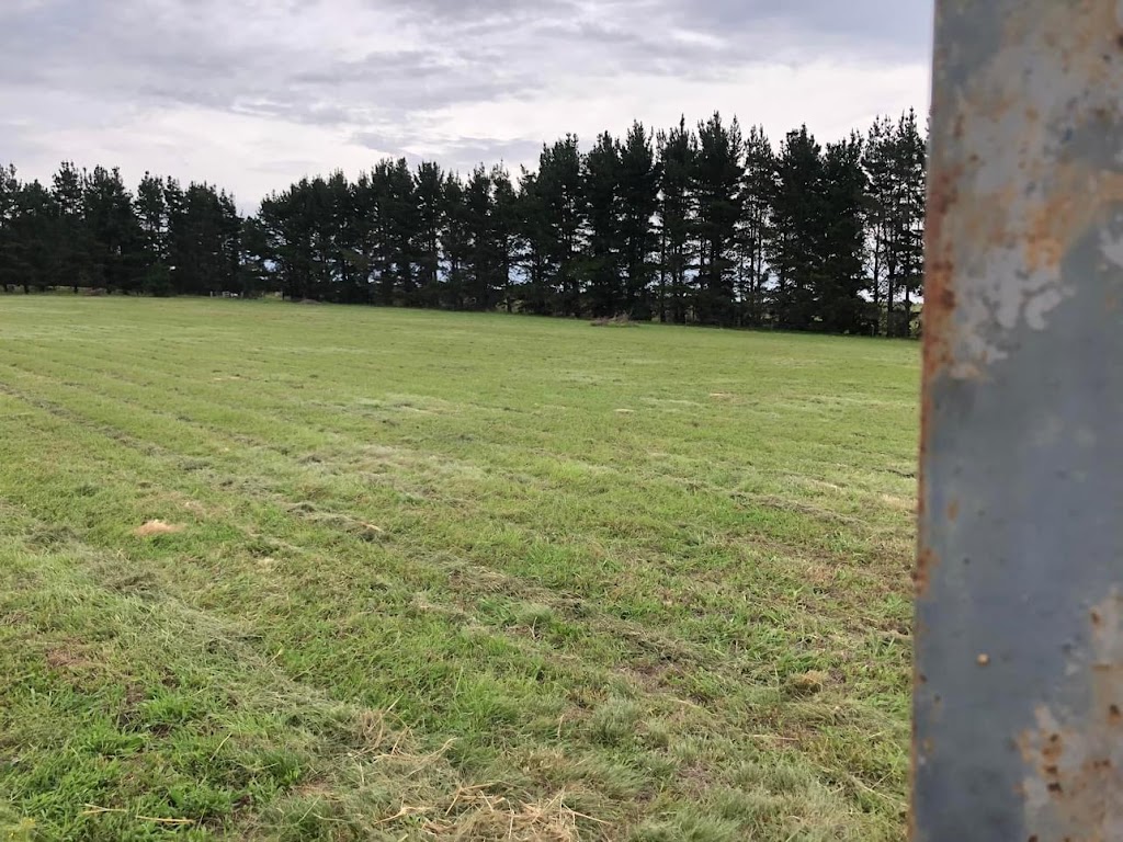 Woonan | 3100 Oallen Ford Rd, Windellama NSW 2580, Australia | Phone: 0431 728 742
