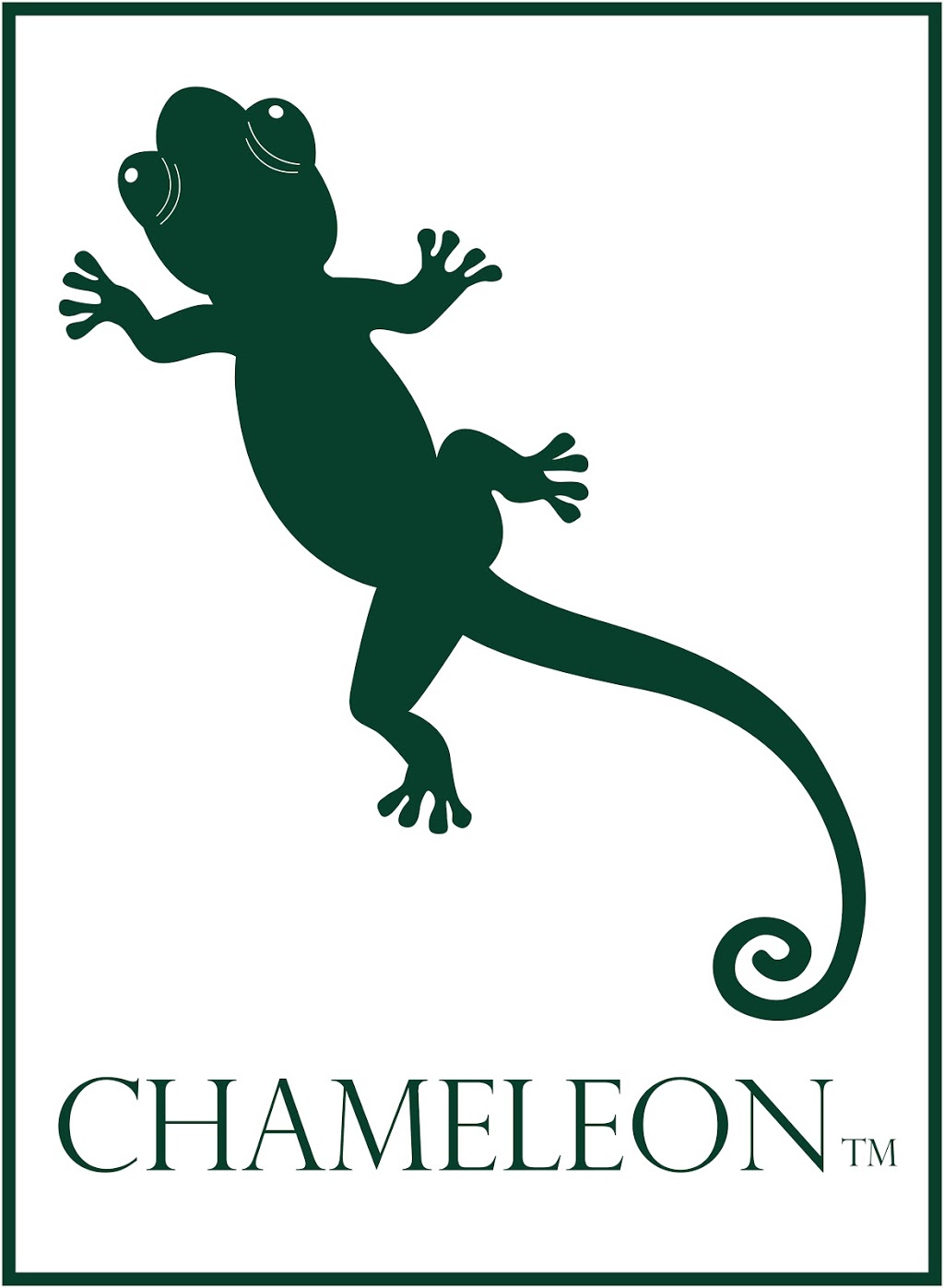 Chameleon Pool Supplies | store | 397A Blaxland Rd, Denistone East NSW 2112, Australia | 0298073600 OR +61 2 9807 3600
