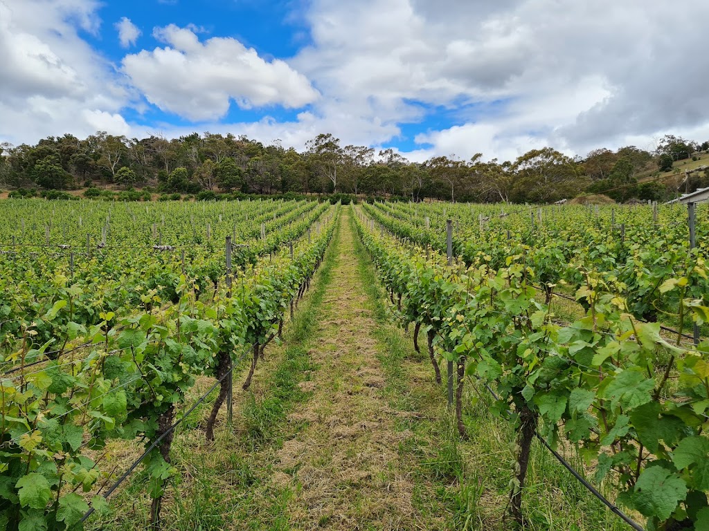 Derwent Estate Vineyard | tourist attraction | 329 Lyell Hwy, Granton TAS 7030, Australia | 0362635802 OR +61 3 6263 5802