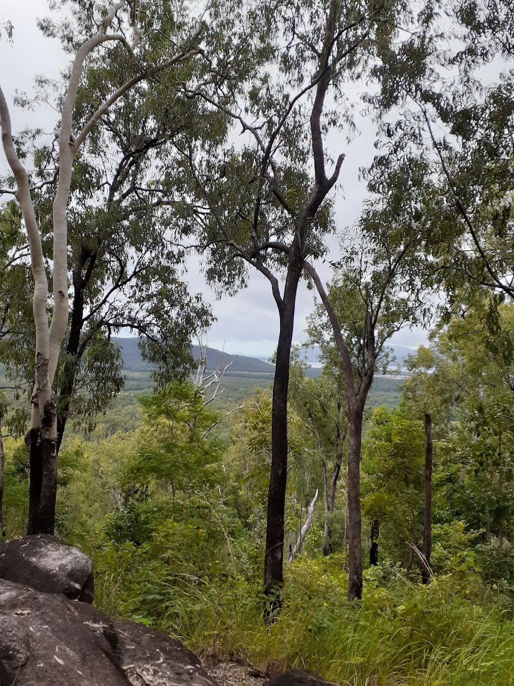 Butterfly Valley | 284 Five Mile Creek Rd, Damper Creek QLD 4849, Australia | Phone: 0458 658 237