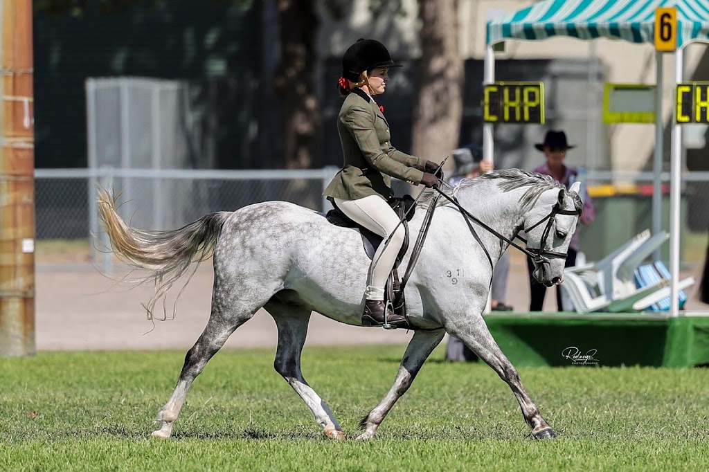 M & L Equestrian | 1171 Nowra Rd, Fitzroy Falls NSW 2577, Australia | Phone: 0402 218 470