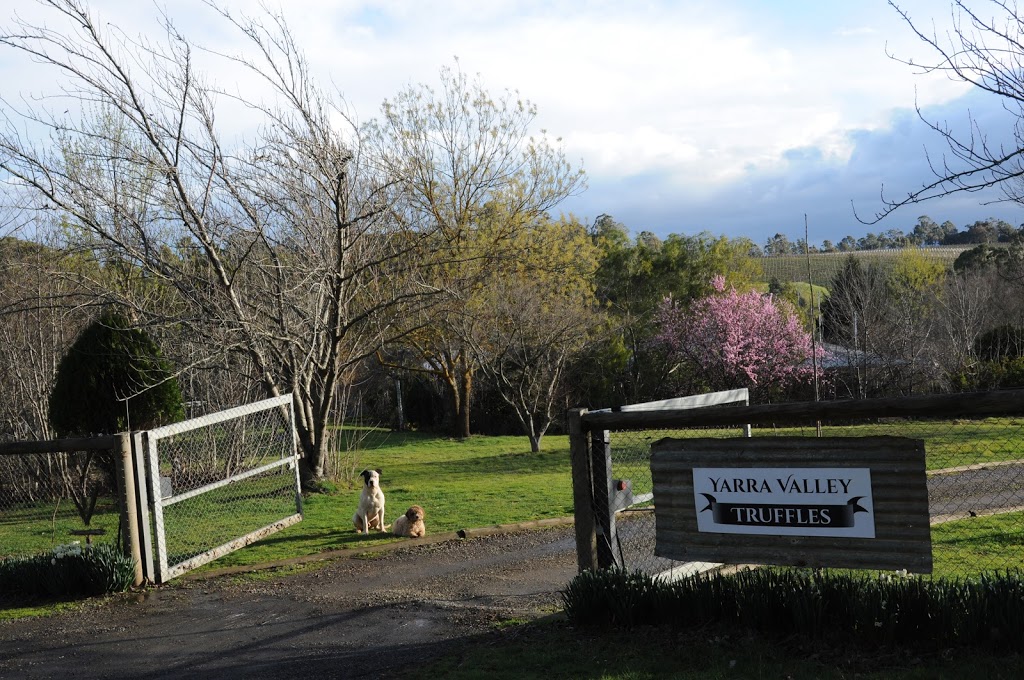 Yarra Valley Truffles | 70 Owens Rd, Woori Yallock VIC 3139, Australia | Phone: 0432 878 396