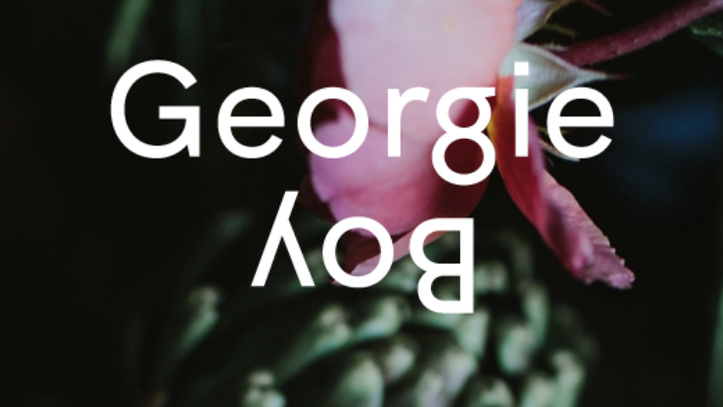 Georgie Boy | florist | 25 Albert St, Northcote VIC 3070, Australia | 0403808525 OR +61 403 808 525